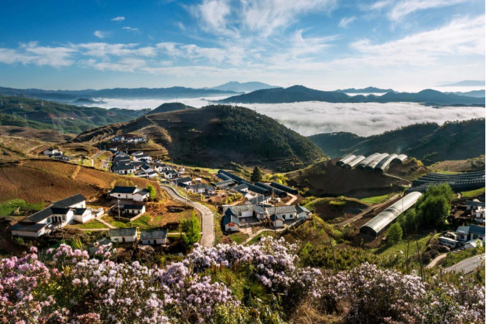 10 東方電氣集團(tuán)科技興農(nóng) 助力涼山火普村打造數(shù)字鄉(xiāng)村804.png
